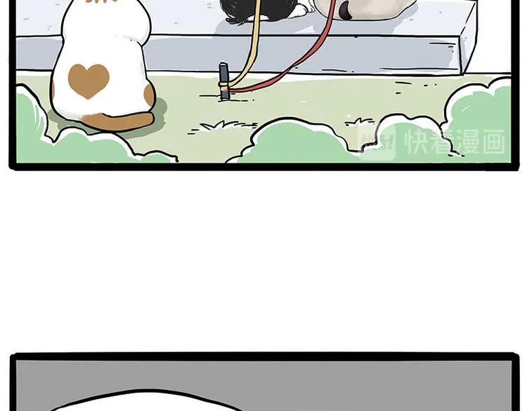 第223话 狗知识增加了 第8页