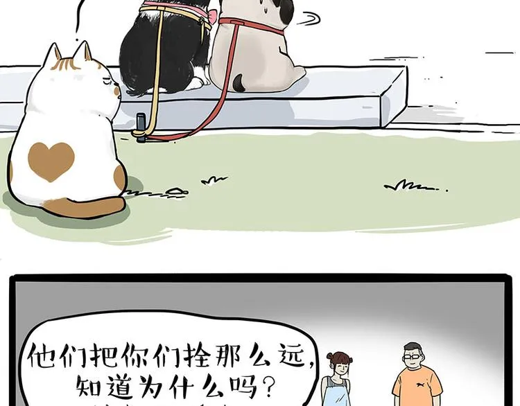 第223话 狗知识增加了 第11页