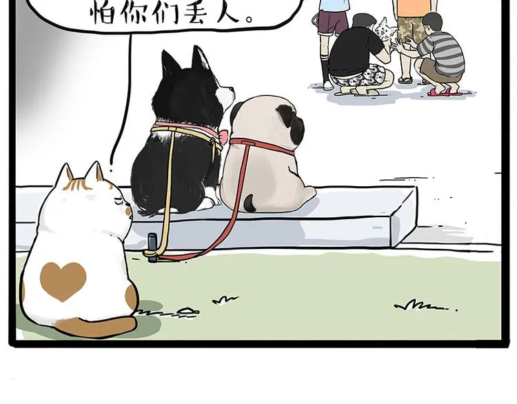 第223话 狗知识增加了 第12页