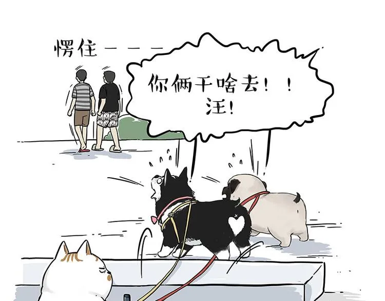 第223话 狗知识增加了 第17页