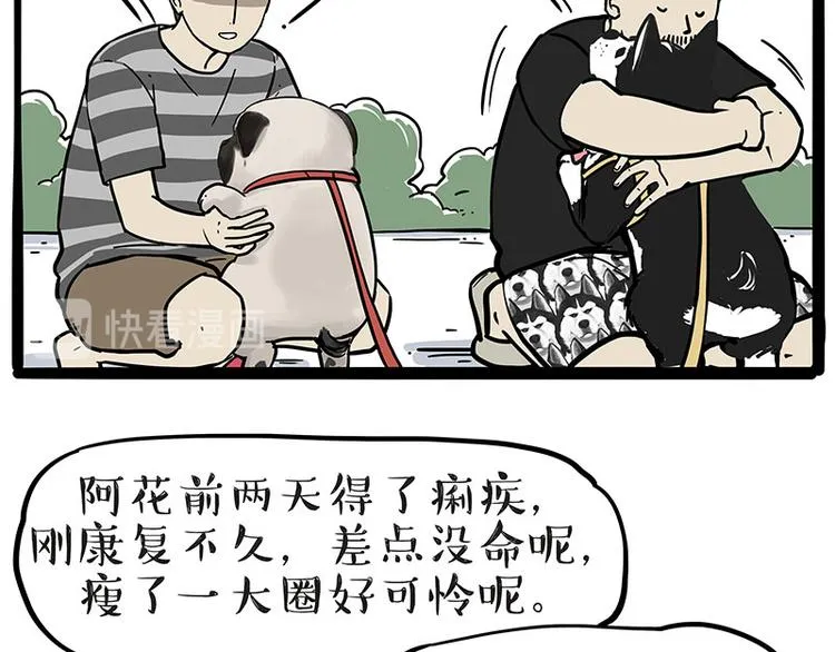 第223话 狗知识增加了 第38页