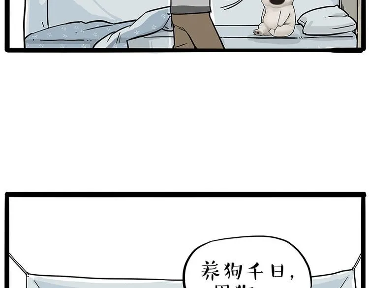 第224话 吾皇驱蚊大法 第5页