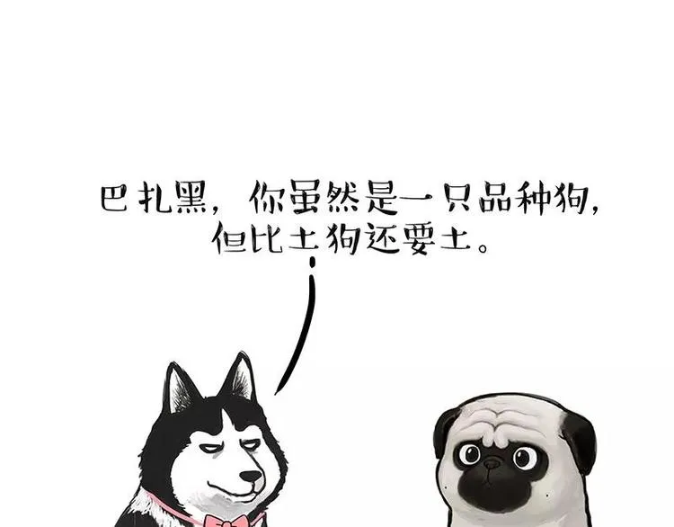 第227话 丑狗宿命 第1页