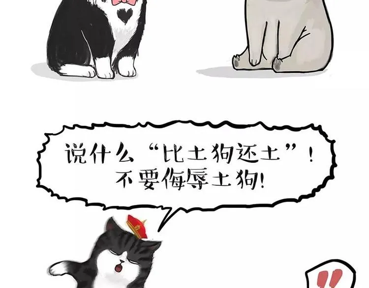 第227话 丑狗宿命 第2页
