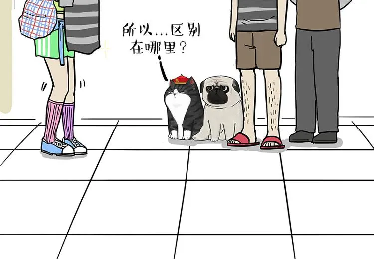 第229话 条纹衫是你的命 第17页