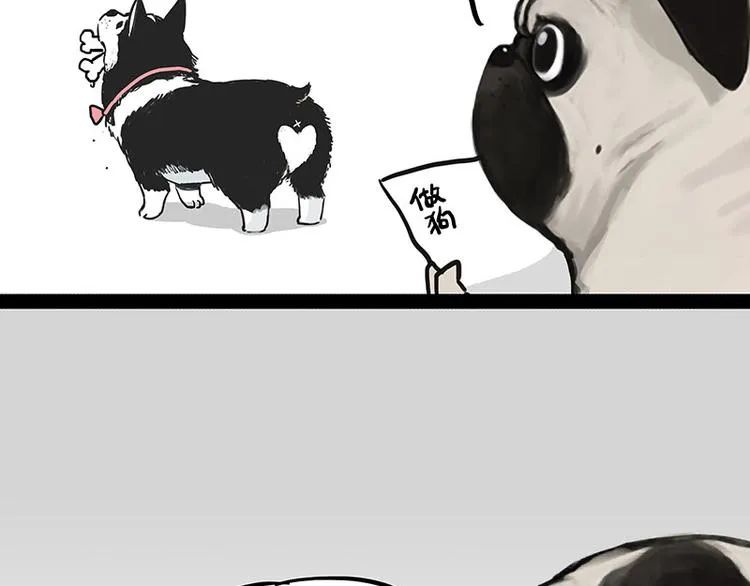 第230话 巴扎黑进娱乐圈？ 第12页