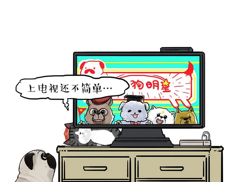 第230话 巴扎黑进娱乐圈？ 第41页