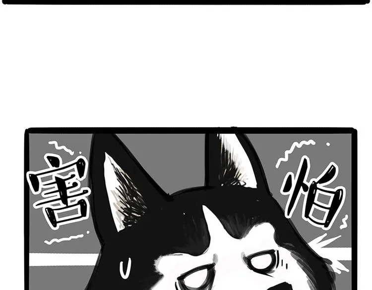 第231话 防骗指南 第6页