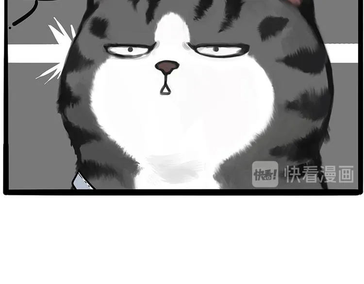 第231话 防骗指南 第12页