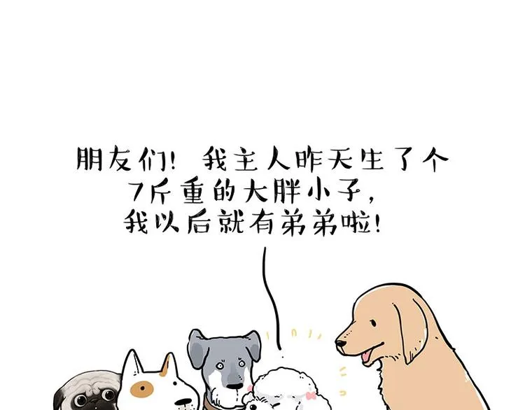 第232话 我退出这个家 第17页