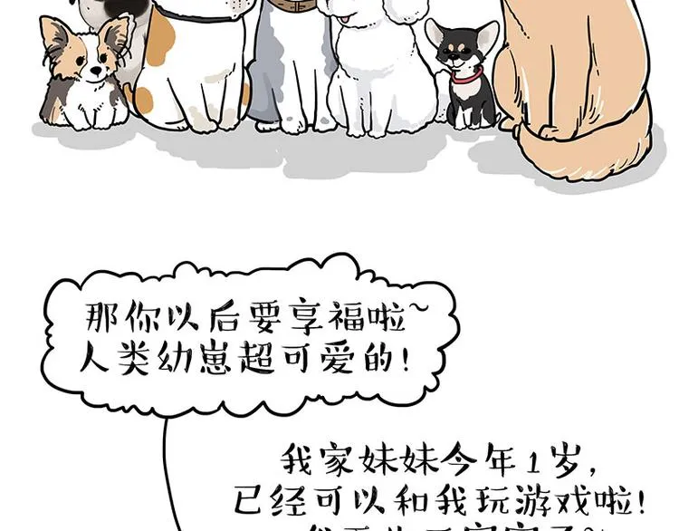 第232话 我退出这个家 第18页