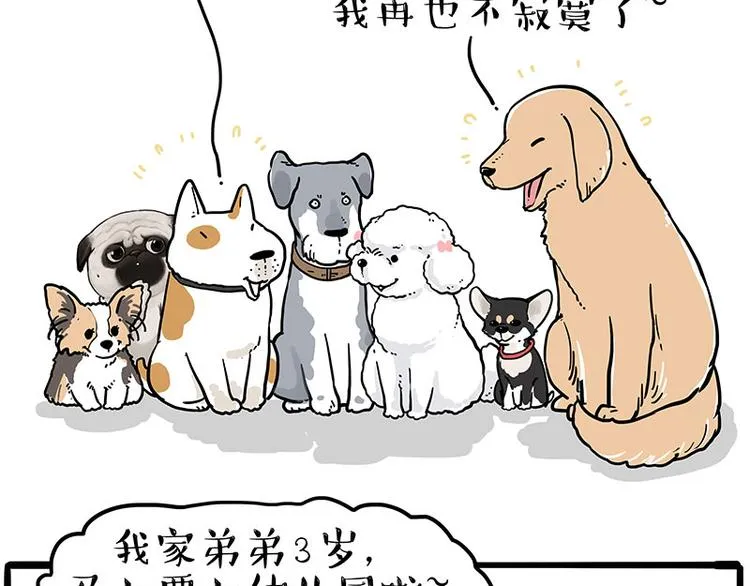 第232话 我退出这个家 第19页