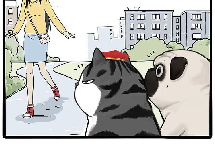 第233话 你太飘了 第2页