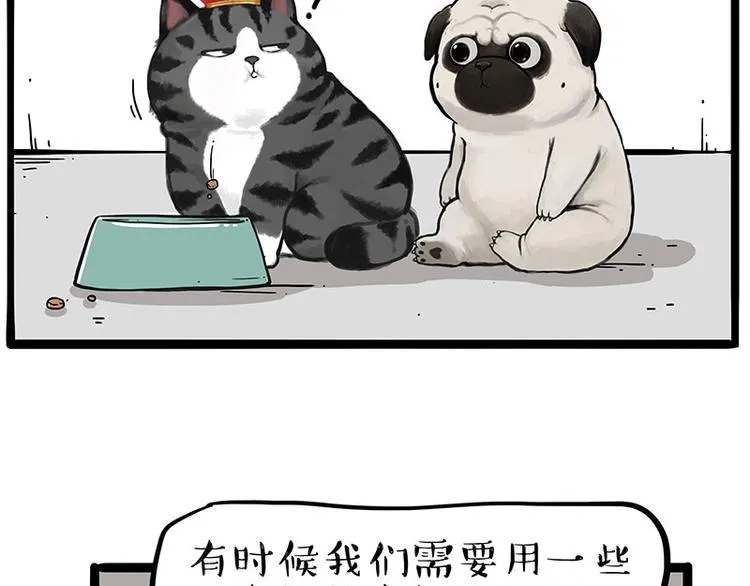 第233话 你太飘了 第13页