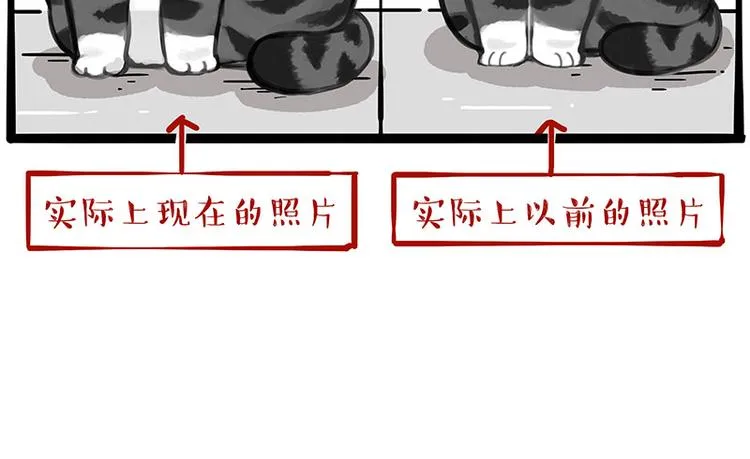 第233话 你太飘了 第18页