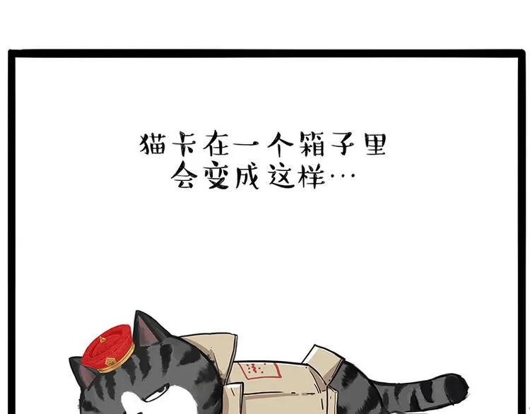 第234话 “基因”突变？ 第1页
