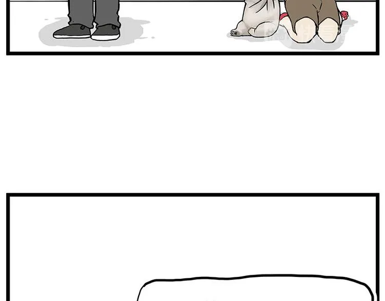 第235话 是亲生的没错吧？ 第19页