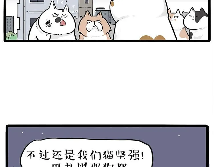 第235话 是亲生的没错吧？ 第74页