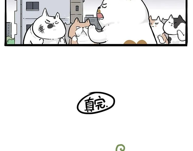 第235话 是亲生的没错吧？ 第77页