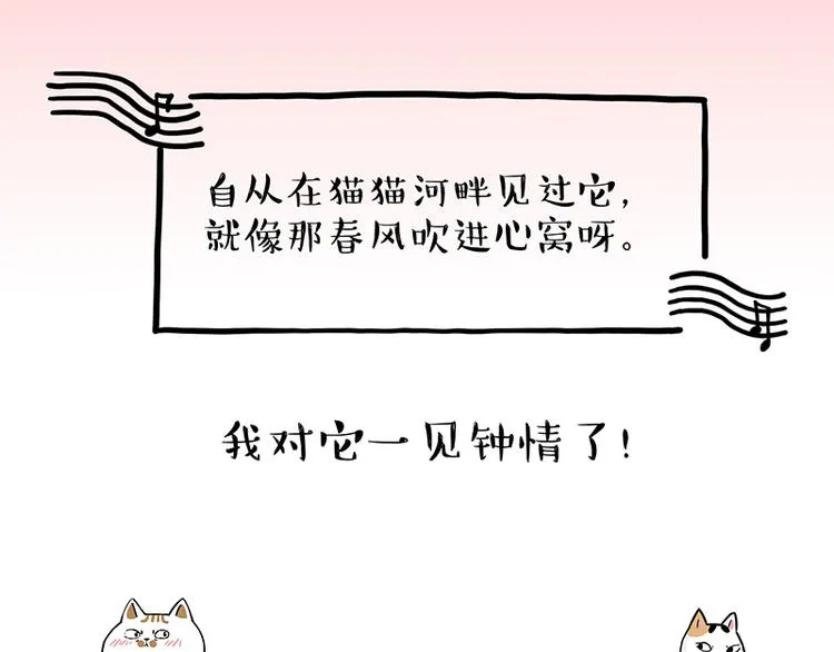 第238话 吾皇的爱情“喵”招 第10页