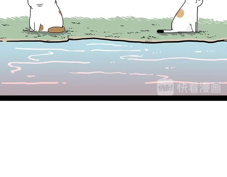 第238话 吾皇的爱情“喵”招 第11页