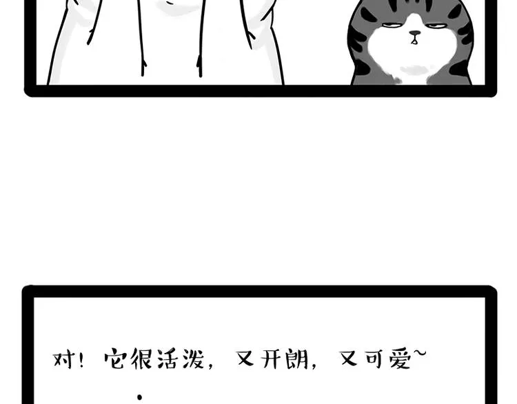 第238话 吾皇的爱情“喵”招 第13页