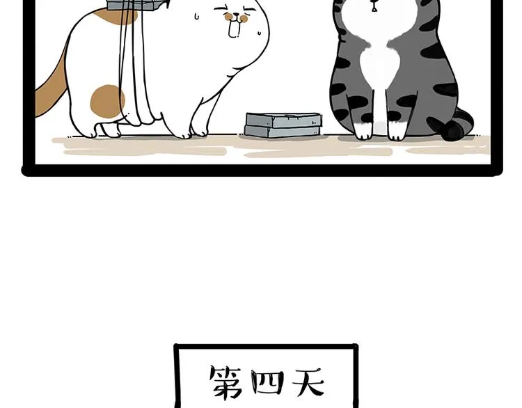 第238话 吾皇的爱情“喵”招 第49页