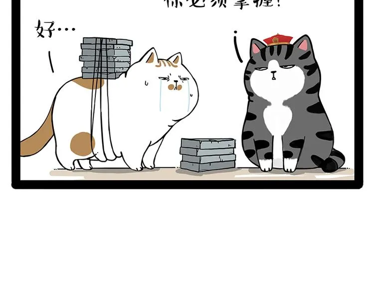 第238话 吾皇的爱情“喵”招 第52页