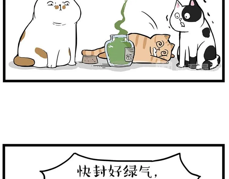 第239话 “屁”的战争 第17页