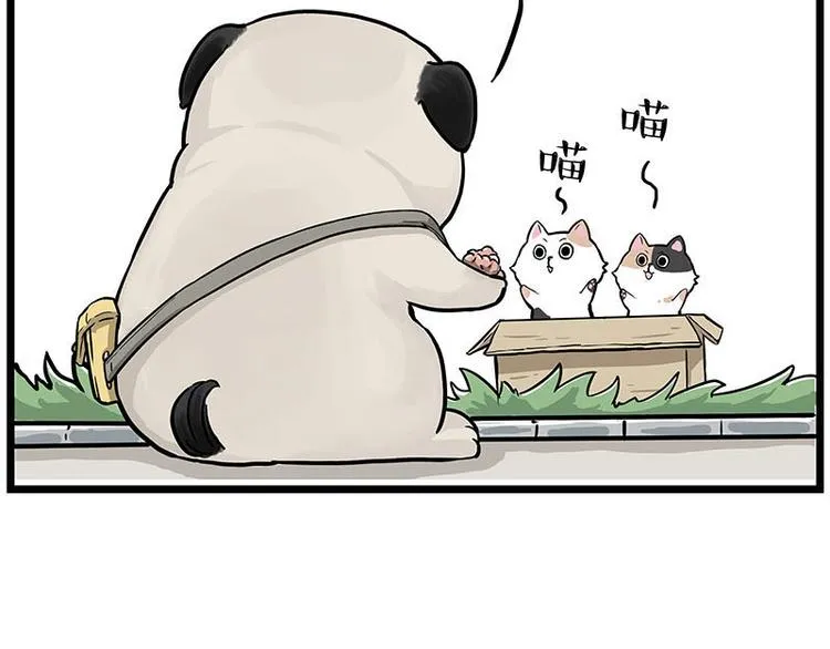 第239话 “屁”的战争 第38页