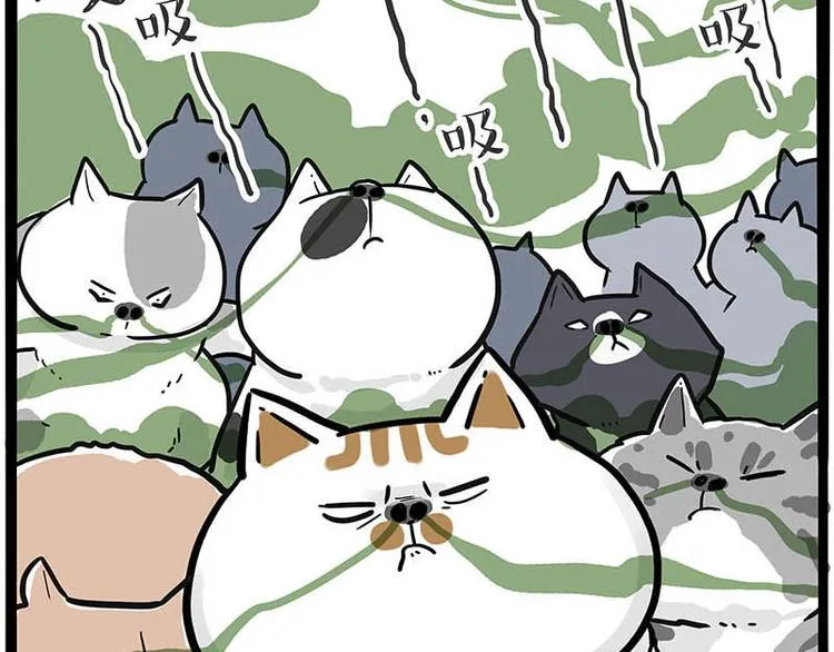 第239话 “屁”的战争 第62页