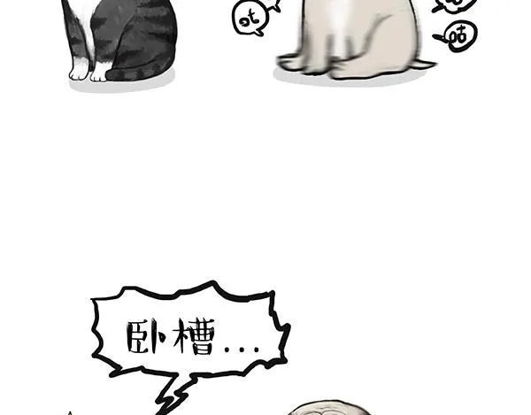 第240话 放屁第一名 第26页