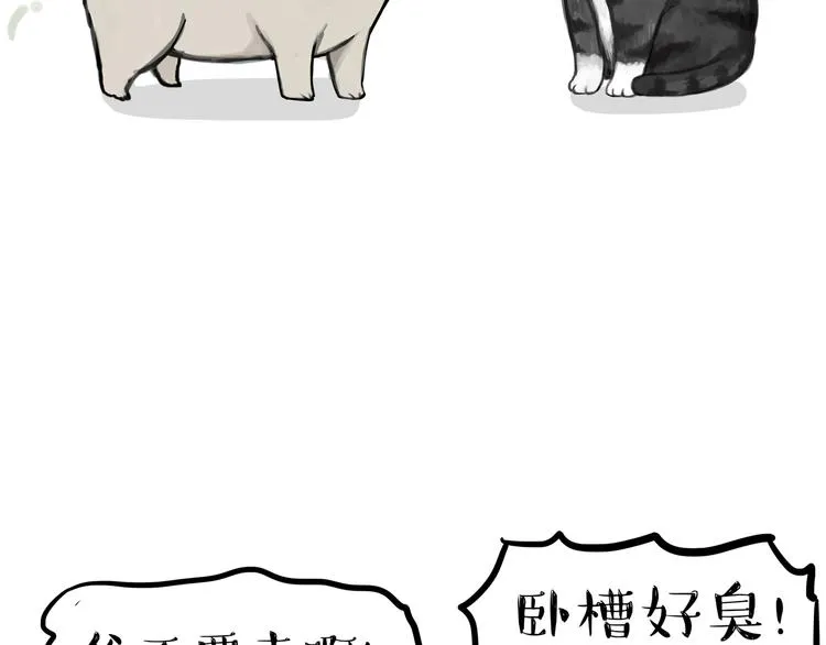 第240话 放屁第一名 第48页
