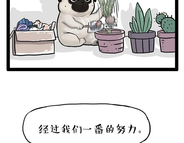 第242话 拆的就是你家 第26页