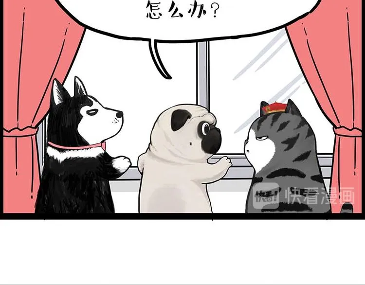 第243话 社会性死亡 第48页