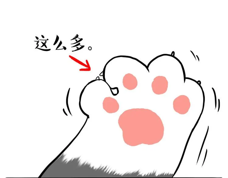 第245话 真上天了 第41页