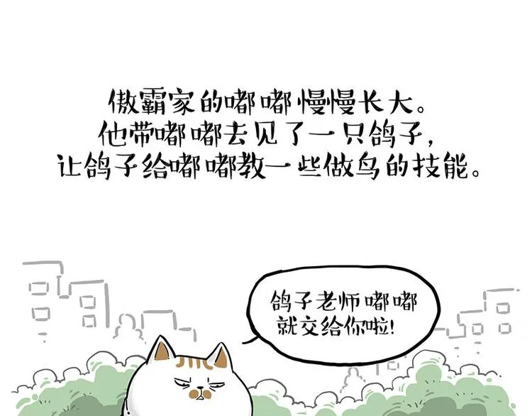 第246话 你被踢了 第1页