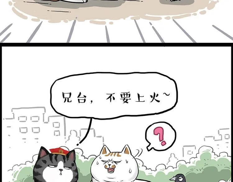 第246话 你被踢了 第20页