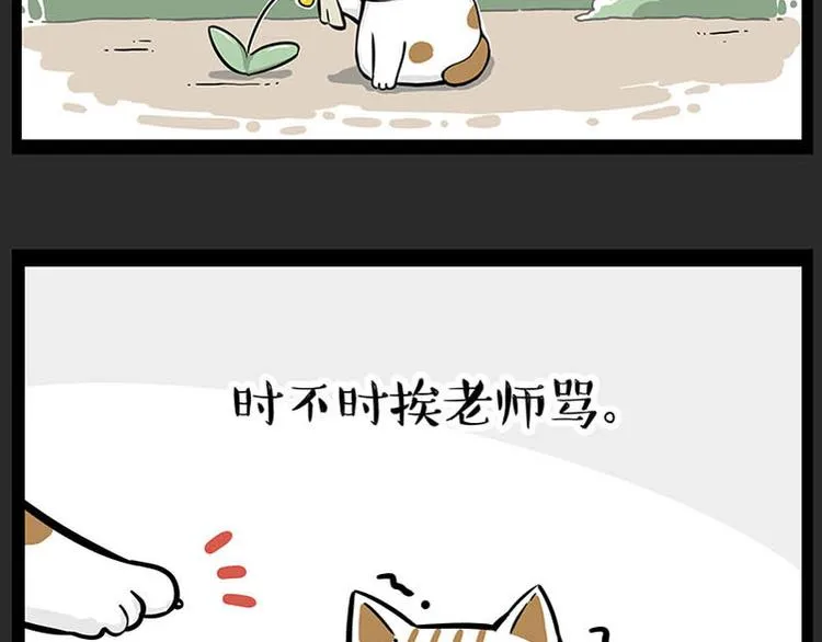 第246话 你被踢了 第31页