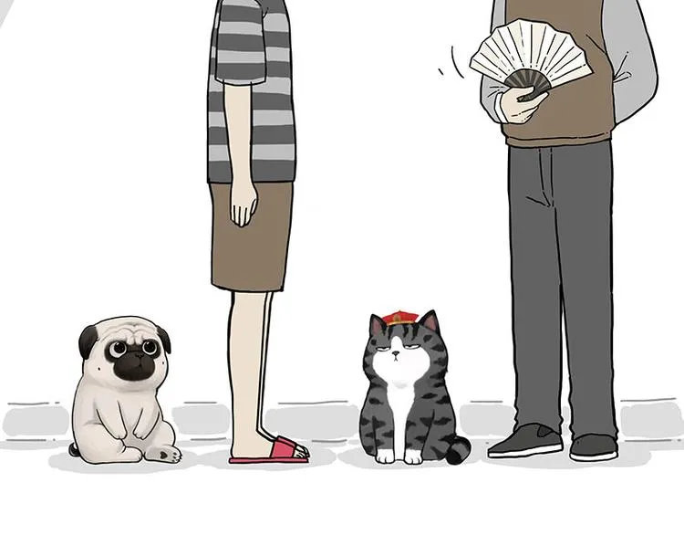 第247话 巴扎猪 第2页