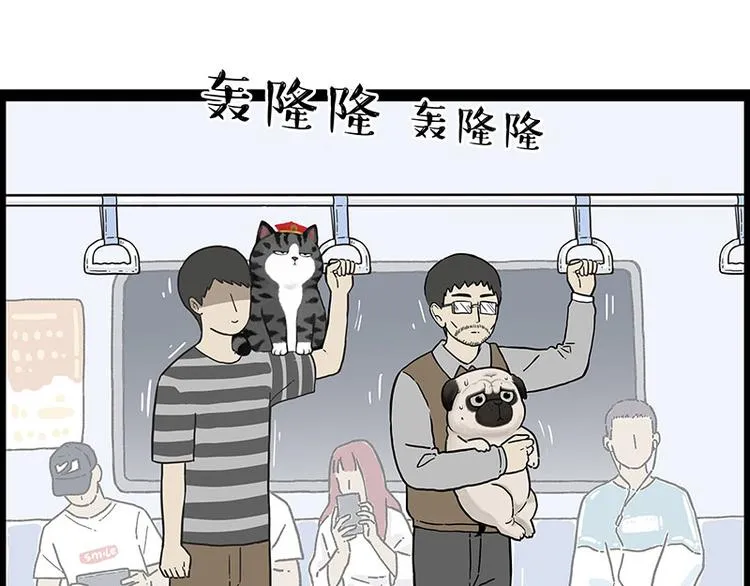 第247话 巴扎猪 第3页