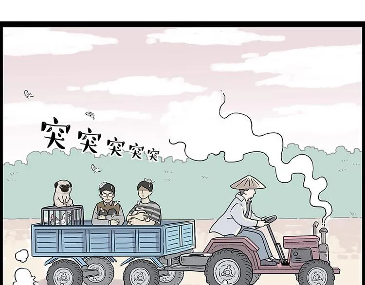 第247话 巴扎猪 第6页