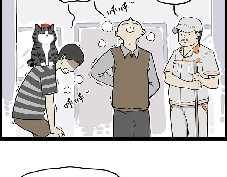 第247话 巴扎猪 第11页