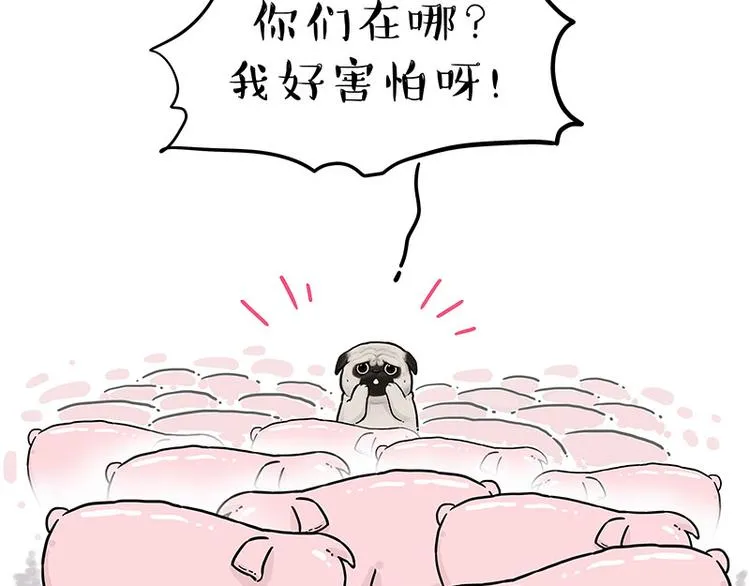 第247话 巴扎猪 第17页