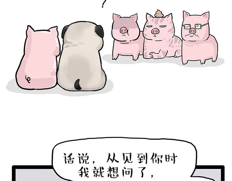 第247话 巴扎猪 第24页