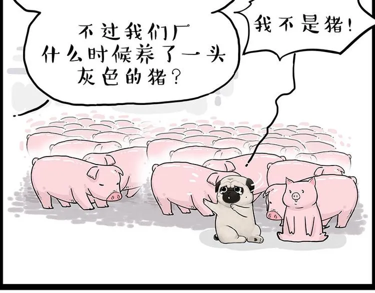 第247话 巴扎猪 第28页