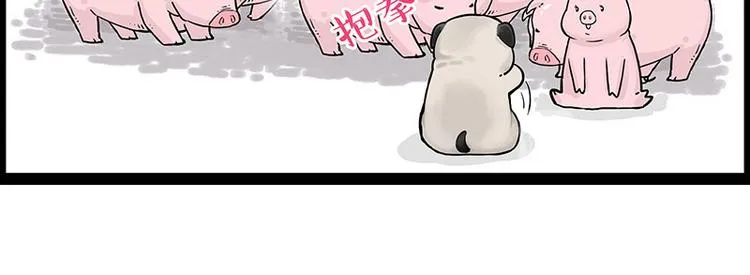 第247话 巴扎猪 第33页
