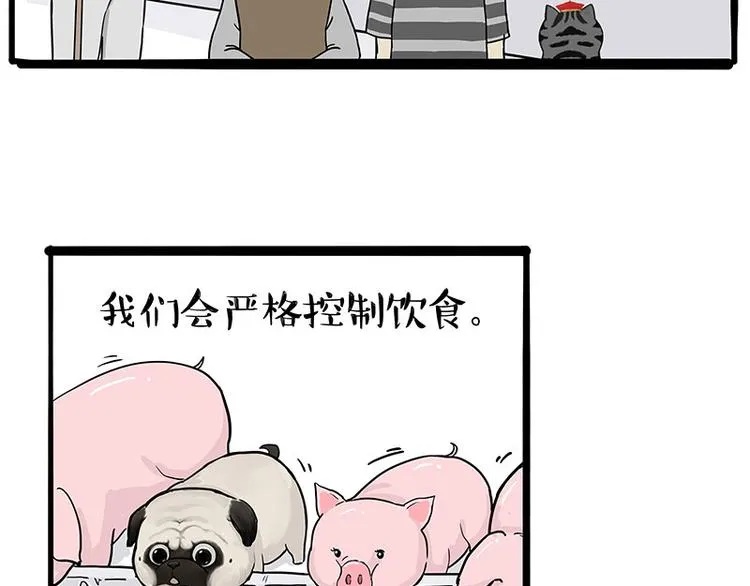 第247话 巴扎猪 第39页