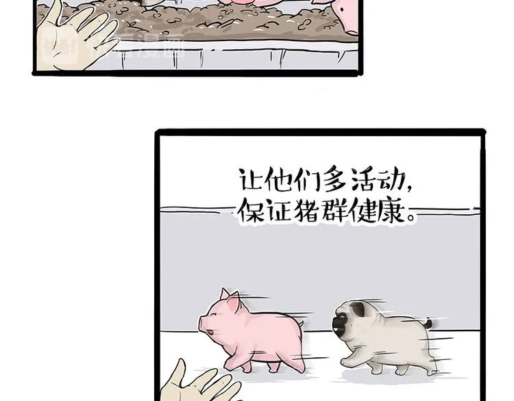 第247话 巴扎猪 第40页