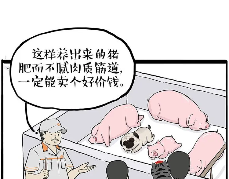 第247话 巴扎猪 第42页